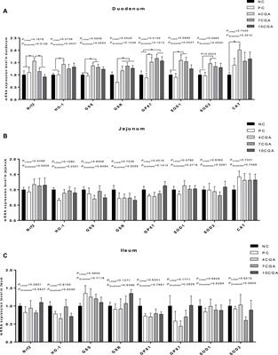 Effects of in ovo feeding of chlorogenic acid on antioxidant capacity of postnatal broilers